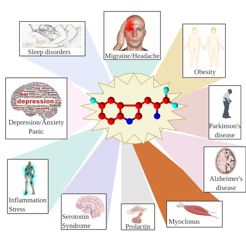 MULTI SUPLEMENTOS BENEFICIOS DEL 5-HTP EN EL CUERPO
