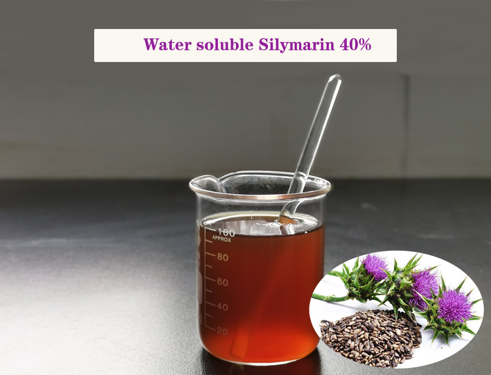 Water Soluble Milk Thistle Extract Extracto de cardo mariano soluble en agua