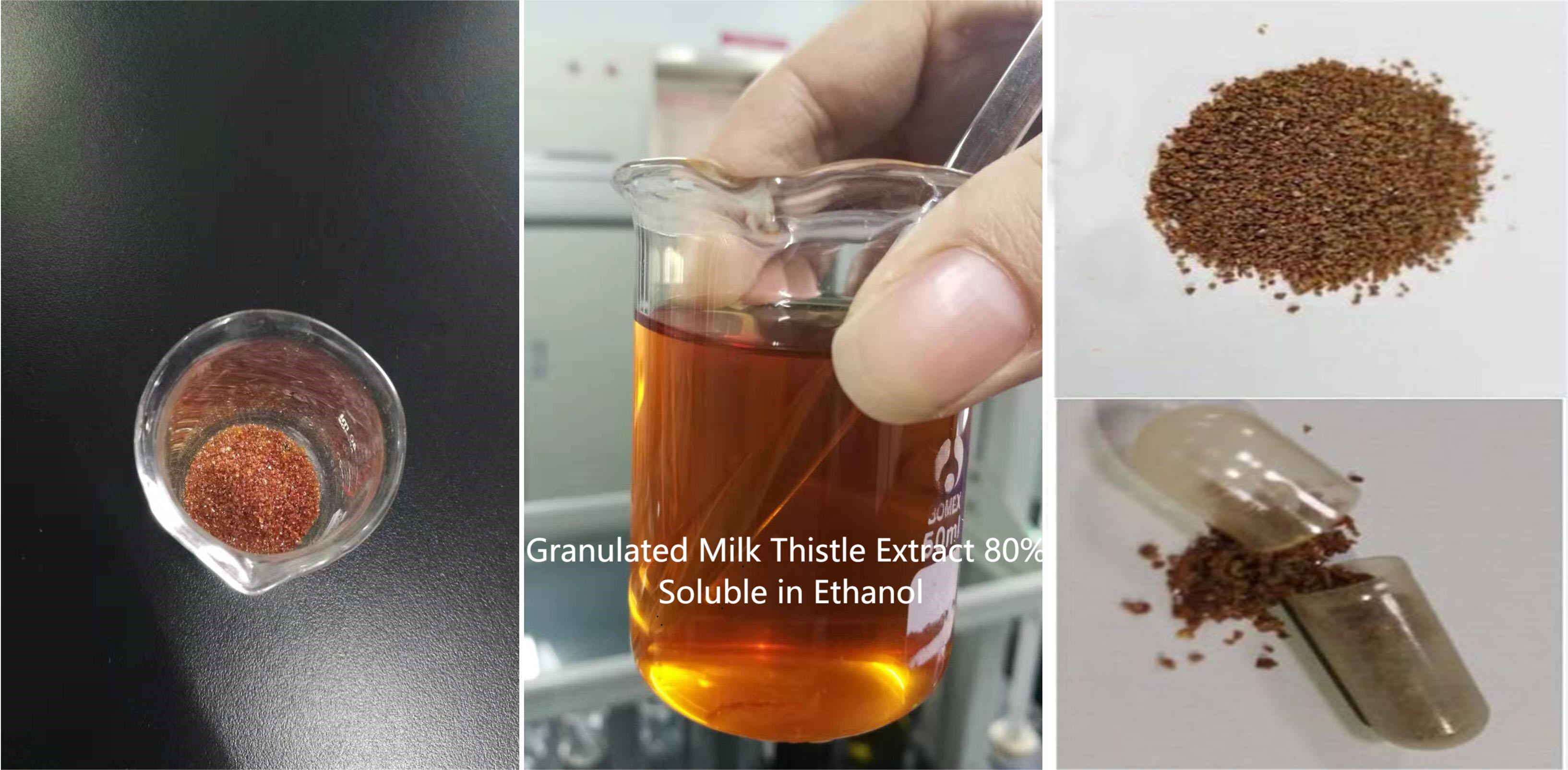 Granulated Milk Thistle Extract 80% Extracto de Cardo Mariano Granulado 80%