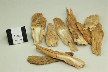 estemona