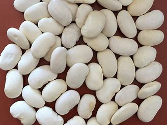Frijol Blanco