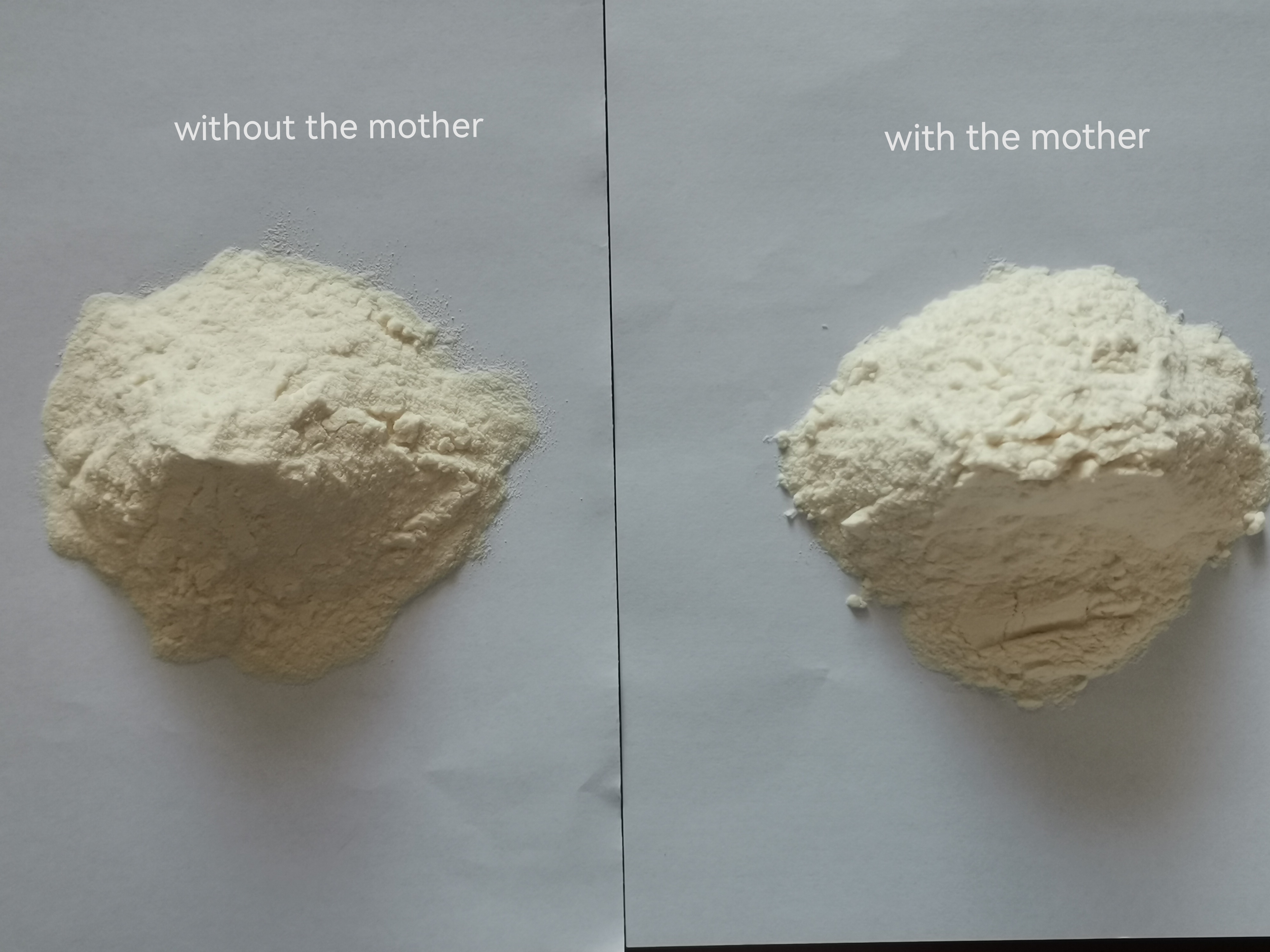 ACV en polvo con y sin madre