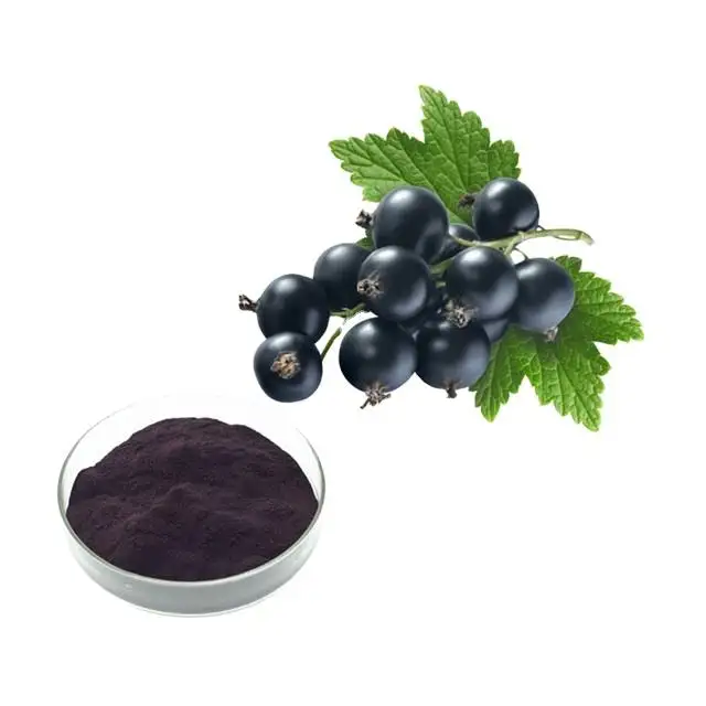 El extracto de grosella negra y el polvo de jugo de grosella negra complementan la antocianina