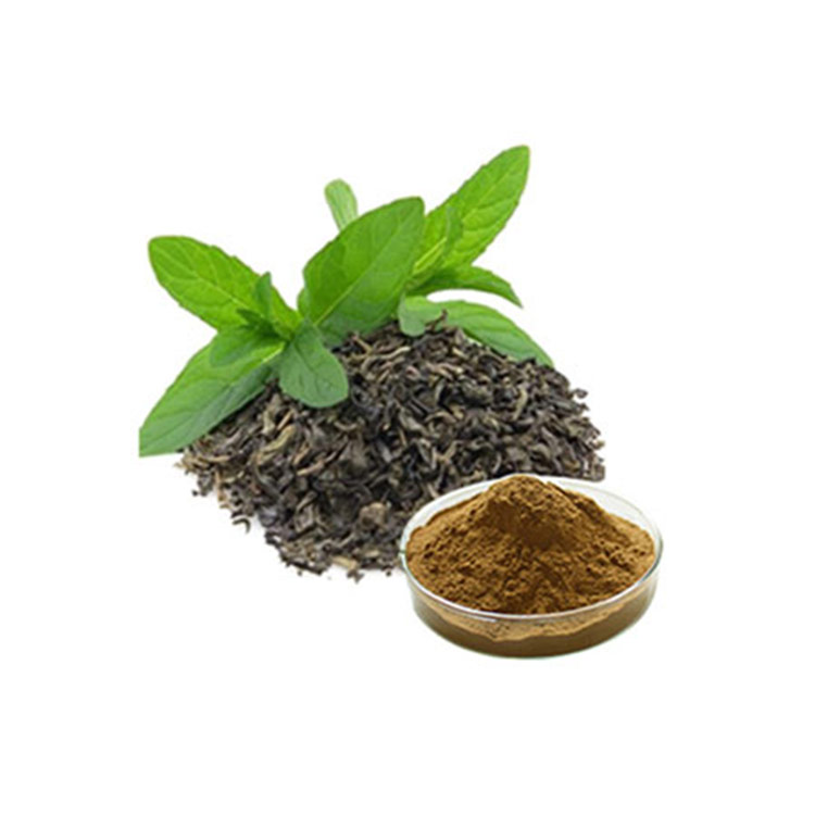  Extracto de té verde