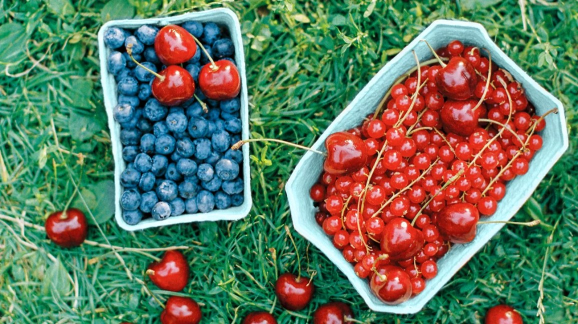 Antocianinas de extracto de saúco antioxidantes bajas en calorías