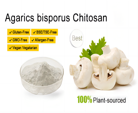 Quitosano Vegetal de Hongos