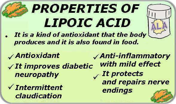 propiedades-del-&aacute;cido-lipoico