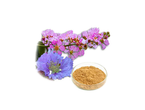 Extracto de hoja de banaba