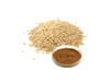 Extracto de avena