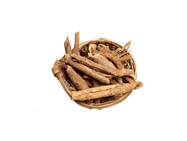 Extracto de ginseng siberiano