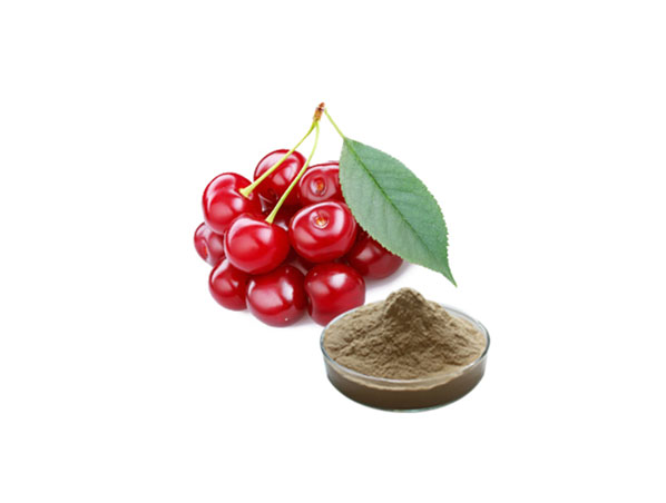 Extracto de cereza acerola