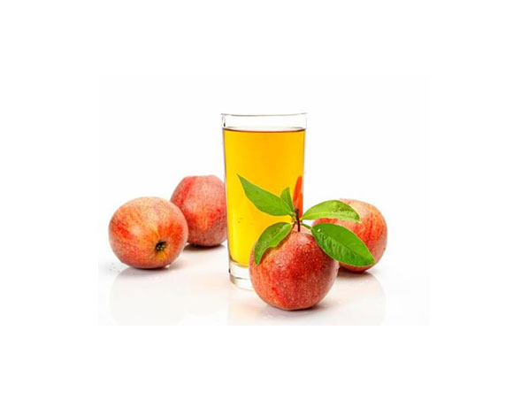 Vinagre de sidra de manzana en polvo