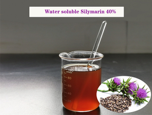 Silimarina soluble en agua 40%