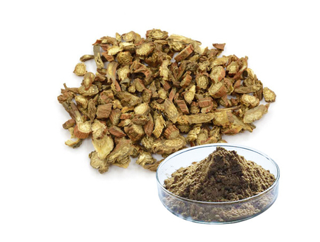 Extracto de raíz de salvia