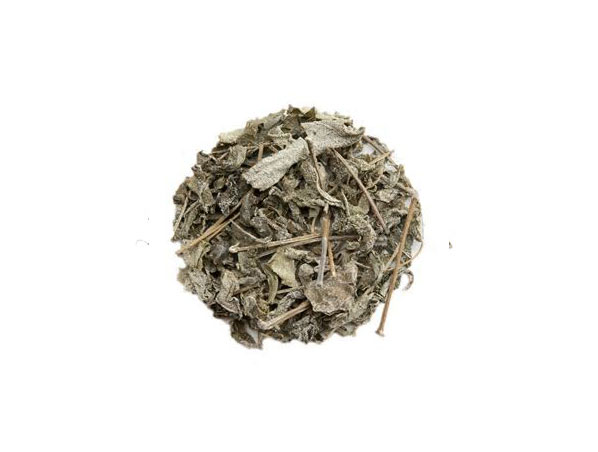 Extracto de té de vid