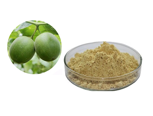 Extracto de Luo Han Guo/Extracto de fruta de monje/Fruta de monje orgánica