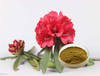 Extracto de rododendro caucasicum