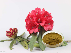 Extracto de rododendro caucasicum