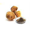 Extracto de hongo medicinal Agaricus Blazei