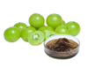 Extracto de Phyllanthus Emblica