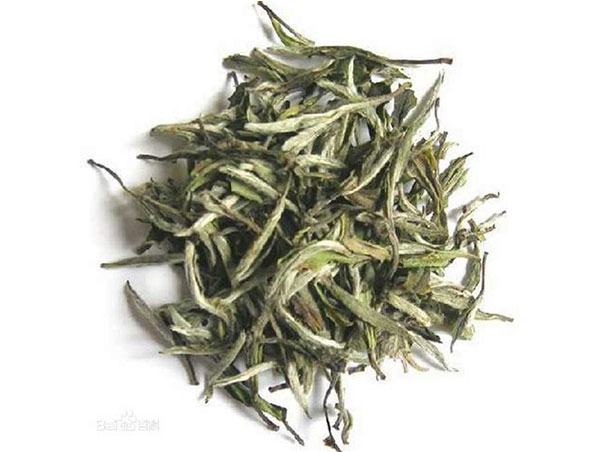 Extracto de té blanco