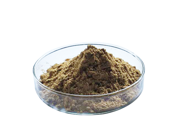 Extracto de raíz de salvia