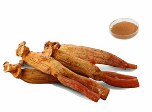 Extracto de ginseng rojo de Corea 