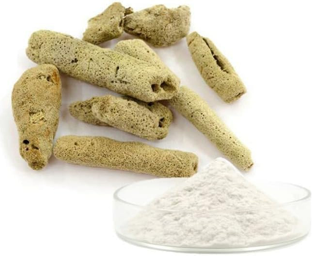 Microaguja de esponja