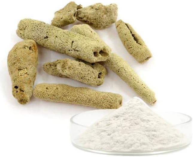 Microaguja de esponja