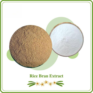 Policosanol de salvado de arroz: ingrediente súper funcional