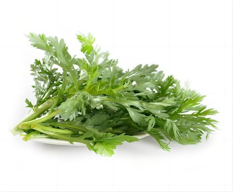 Extracto de Artemisia Annua Artemisinina 99% Aplicaciones antipalúdicas y de salud