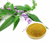 Polvo de extracto de hoja de salvia 