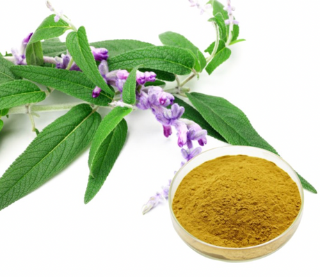 Polvo de extracto de hoja de salvia 