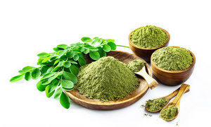 Extracto de Moringa/polvo de hoja de Moringa
