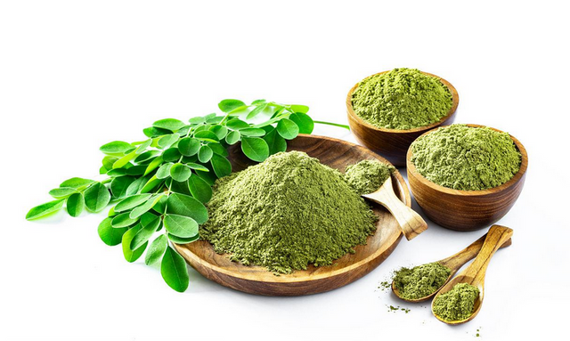 Extracto de Moringa/polvo de hoja de Moringa