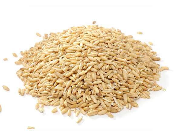 Extracto de avena