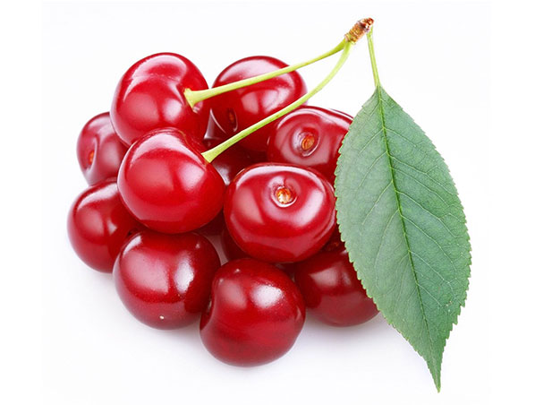 Extracto de cereza acerola