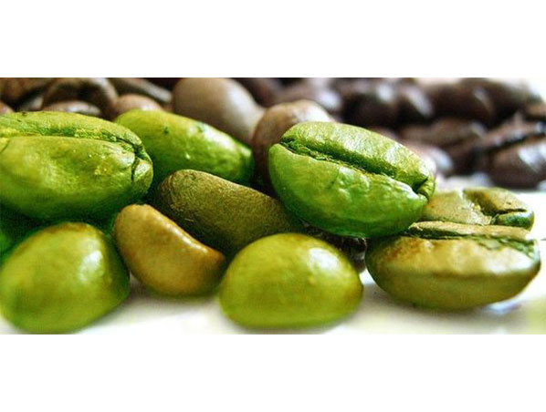 Extracto de grano de café verde
