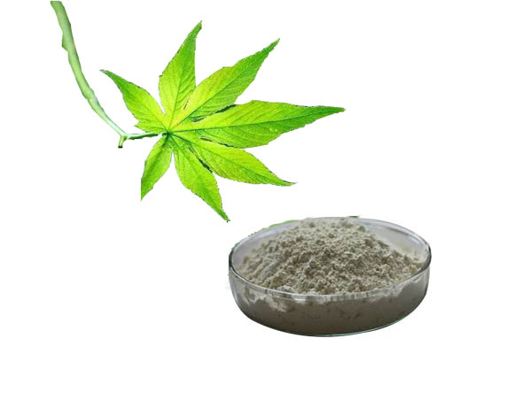 Extracto de té dulce