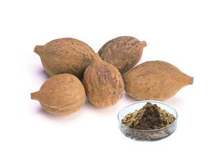 Extracto de Terminalia Bellerica