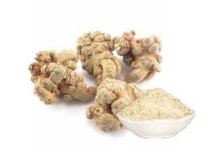 Extracto de raíz de Panax Notoginseng