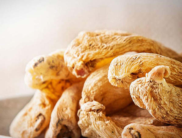 Extracto de rizoma de Gastrodia
