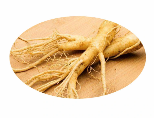 Extracto orgánico de ginseng coreano 