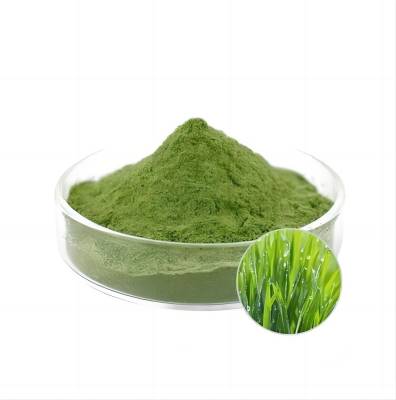 Polvo de hierba de cebada verde 100% natural