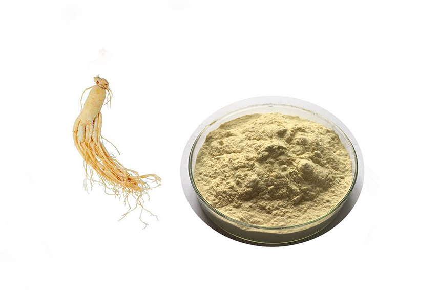 Aumente su inmunidad con ginseng de calidad Yin-America Ginseng