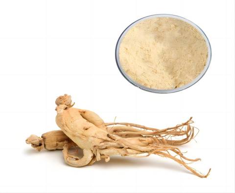 Extracto de ginseng