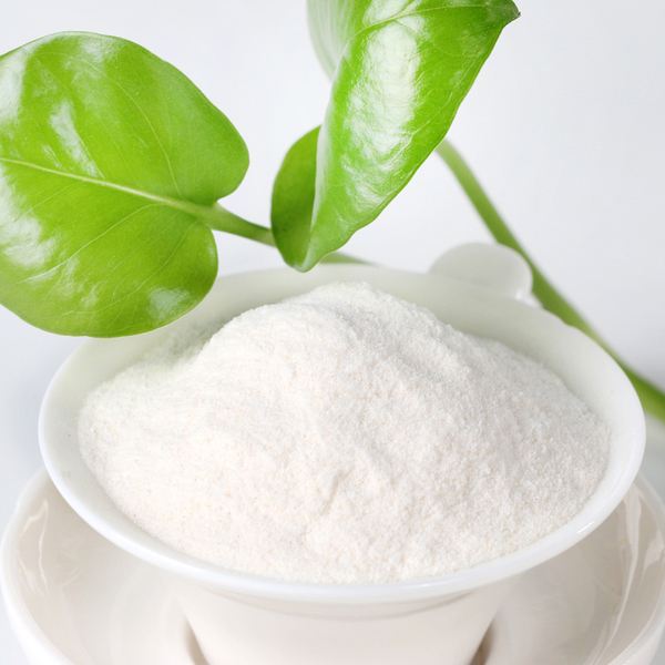 Polvo de konjac