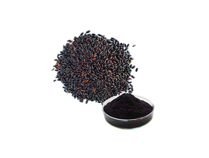 Extracto de arroz negro