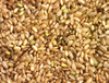 Extracto de arroz integral