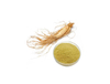 Extracto de ginseng americano
